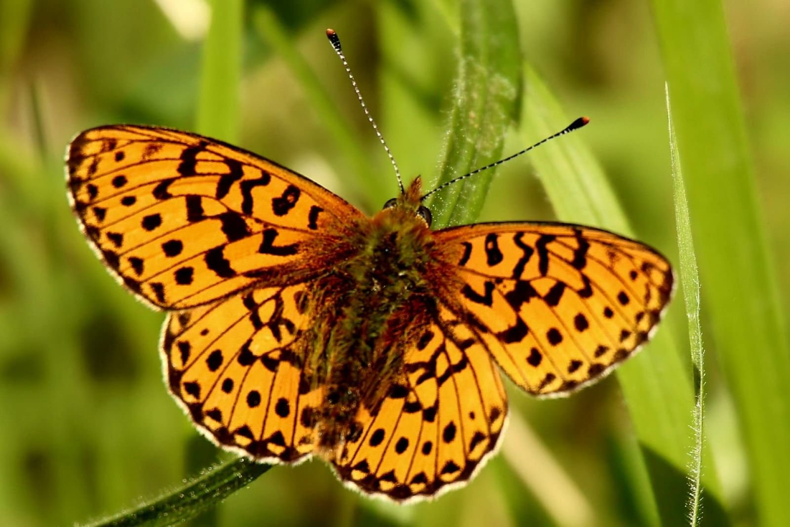 Morgenstimmung in den Bergen
